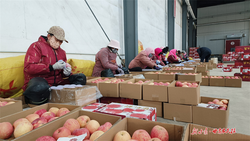 微信圖片_20251230152730_602_382