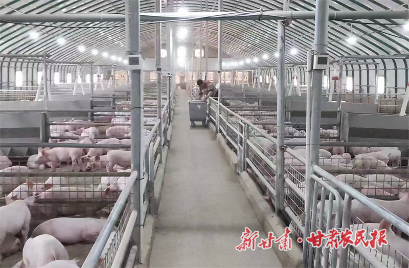 1769476160926168.jpg 1768989147293039650.jpg