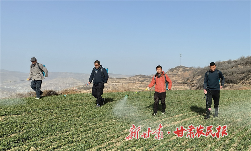 1769476683207631.jpg 1768988094194052790.jpg