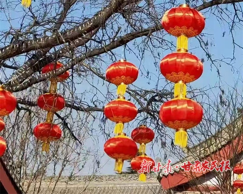 1770369298487499.jpg 1770199309004035209.jpg