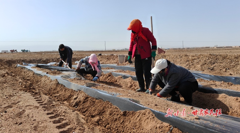 1774490515206459.jpg 微信圖片_20260325154658_259_28.jpg