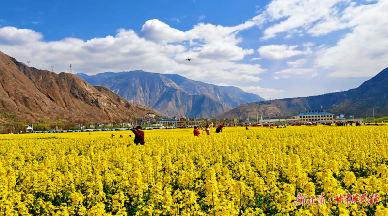 1774840098778092.png 微信圖片_20260327152142_424_30.png