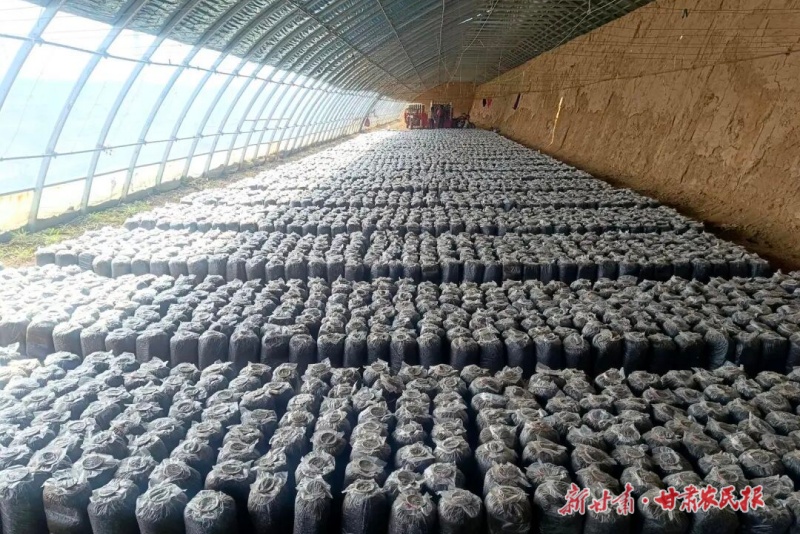 1775700946642831.jpg 微信圖片_20260408144605_270_28.jpg