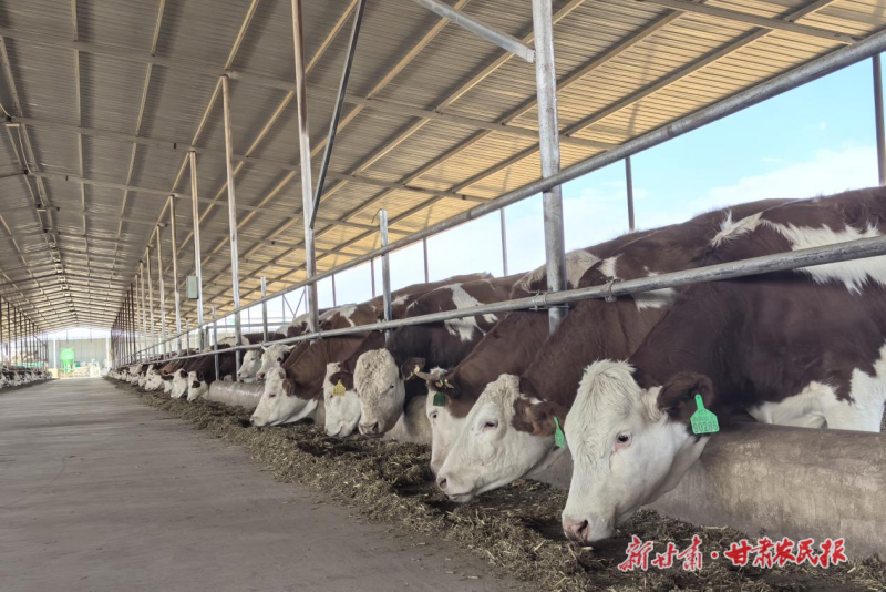 1775701007670165.png 微信圖片_20260408144604_269_28.png