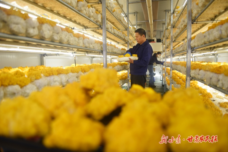 1775701800637280.jpg 微信圖片_20260408161640_265_8.jpg