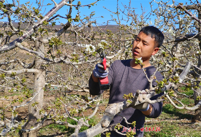 1775805265814895.jpg 1775732699739016194.jpg